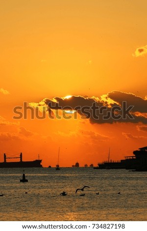 Beautiful Sunset view rich colors, City view including the sea, ships, birds, clouds and a wonderful sunset
Picture taken in Istanbul Kalamis area.  
