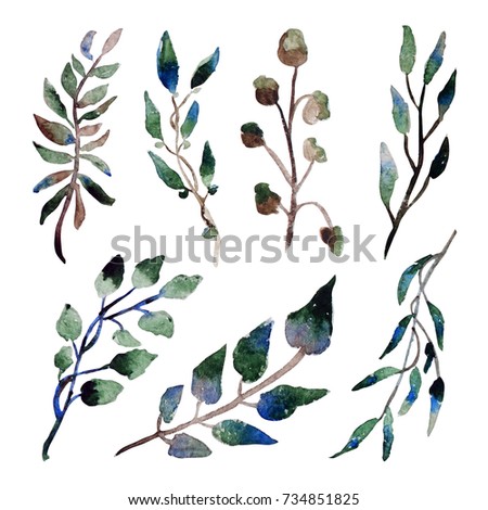 Decorative watercolor leaves clipart, design elements. Can be used for wedding, baby shower, mothers day, valentines day cards, invitations. Painted floral branches.