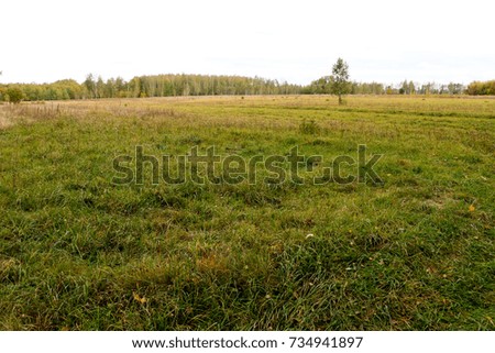 Autumn landscape. Dark clouds over the autumn forest. Yellowed grass in the field. September. Sumy region, Ukraine