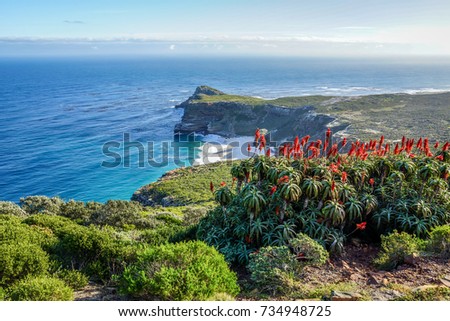 Cape of good hope Royalty-Free Stock Photo #734948725
