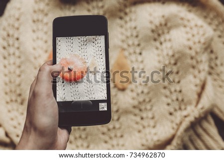instagram blogging concept. hand holding phone and taking photo of pumpkin and leaf on warm sweater,rustic background top view. halloween or thanksgiving holiday. space for text. cozy mood