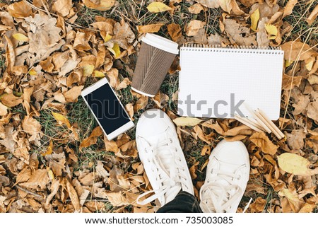Flat lay view of autumn leaves, tablet, phone and paper cup of coffe. From above with legs