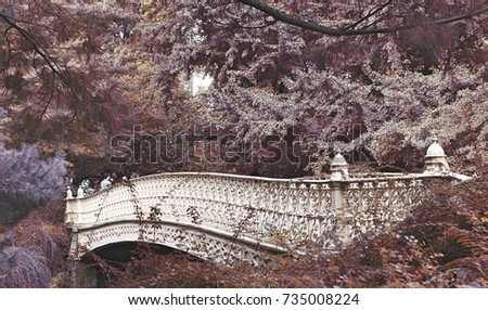 Bridge (Central Park)