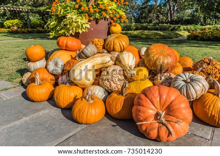 Large cluster of pumpkins and gourds next to a planter of flowers and sweet potato vine in a garden