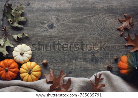 Thanksgiving season still life with colorful small pumpkins, acorn squash, soft blanket and fall leaves over rustic wooden background