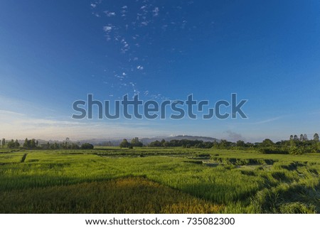 Pictures of green meadows and green fields
