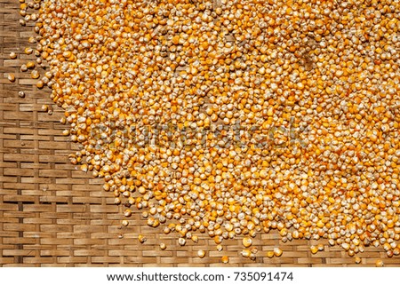 Corn kernels drying on a thatched tray in a mountain village in Himalayas. Nepal. 