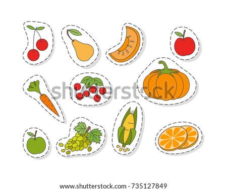 Ripe fruits and vegetables stickers or icons set. Pumpkin, corn cob, carrot, grape, apple, sliced orange, pear, melon and berries isolated flat vectors outlined with dotted line. Organic natural food