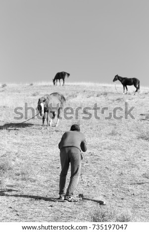 a man takes pictures of horses in pasture