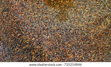 In selective focus of a riceberry seed for background texture