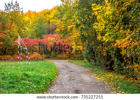 Beautiful autumn landscape. Autumn landscape with colorful forest, park. autumn view. Europe, America, Asia