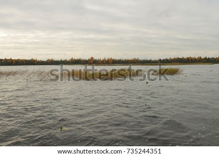 the mouth of the river KEMA, vytegorskiy district, Vologda oblast