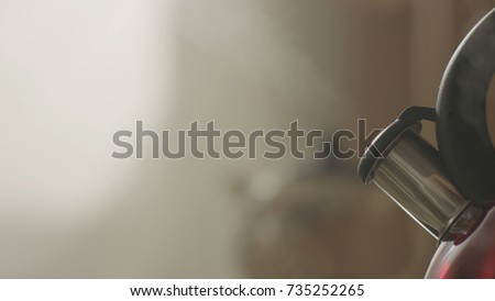 kettle boiling on a gas stove in the kitchen. Focus on a spout. Tea kettle with boiling water on gas stove. metal kettle closeup in kitchen