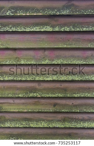 old boards with lichen