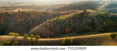 Aerial image of sand dunes with grass and colorful trees at sunset in autumn 