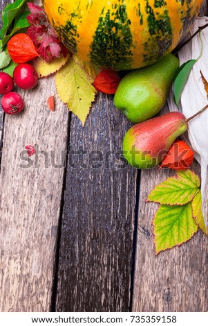 Thanksgiving background with autumn fruits and gourds on a rustic wooden table. Autumn harvest. Top view. Copy space. Thanksgiving frame.