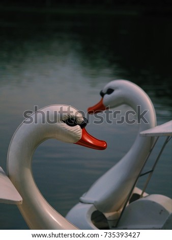 Swan boats ride paddle in lake park is a routine summer activity. with copy space.