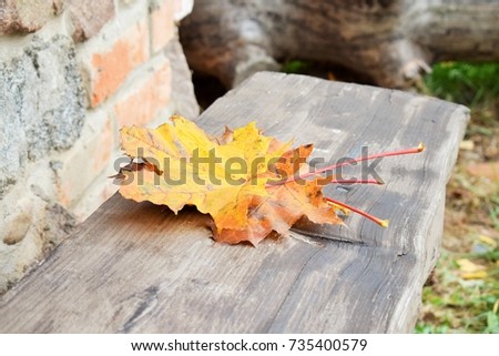three maple yellow leaves lie on an empty wooden bench near the stone wall of the house