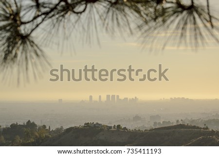 Distant view of Los Angeles in golden hazy sunset lights. The skyline silhouette in the background framed by the hills and pine needles in the blurry foreground.