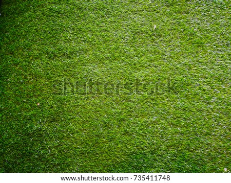 green grass background.