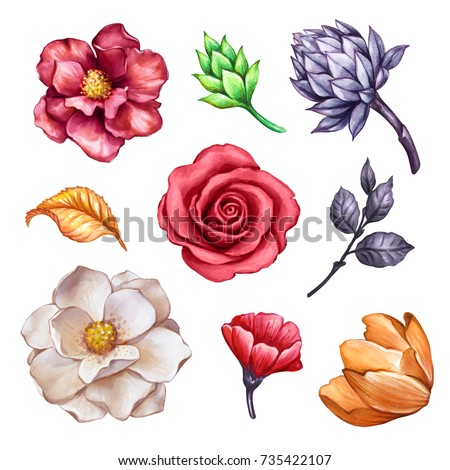 watercolor floral set, autumn flowers, rose, tulip, leaves, succulent, fall, botanical clip art isolated on white background