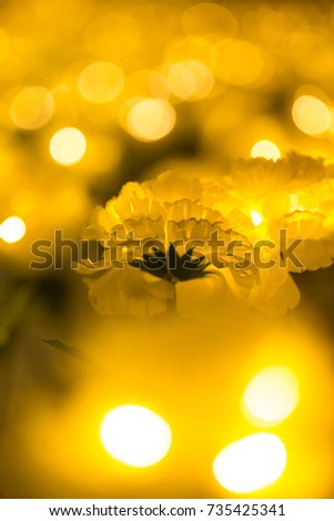 Golden Christmas flower and golden bokeh. Golden theme design background.