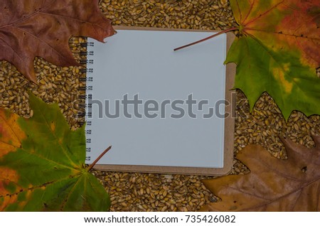 Notepad lies on the wheat crop for Thanksgiving Day.