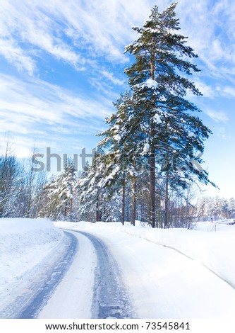 Winter Landscape with snow