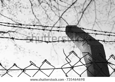 Black and white photo of barbed wire, razor wire, barbwire, and concrete post on the sky and branches background