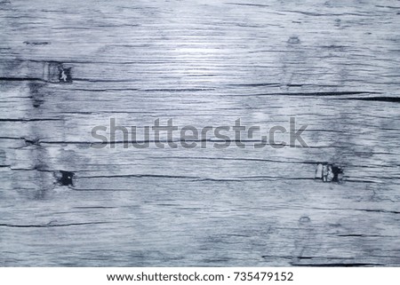 Wooden texture in cold colors