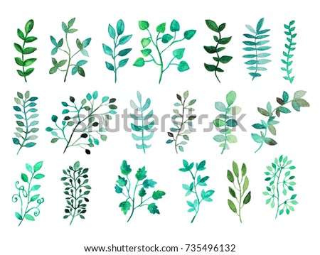 Decorative watercolor leaves clipart, design elements. Can be used for wedding, baby shower, mothers day, valentines day cards, invitations. Painted floral branches