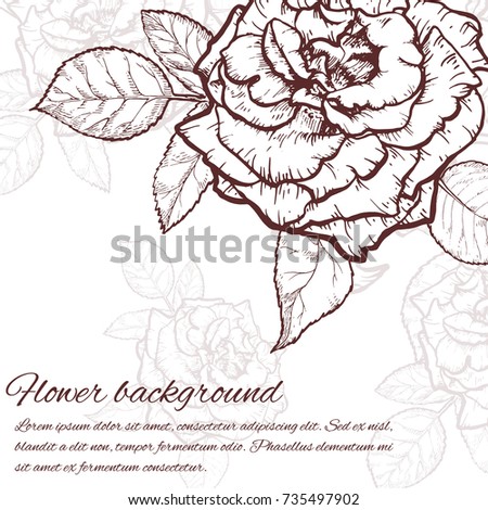 Vintage rose. Hand drawn vector illustration background.