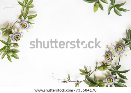 Passion flowers on white background