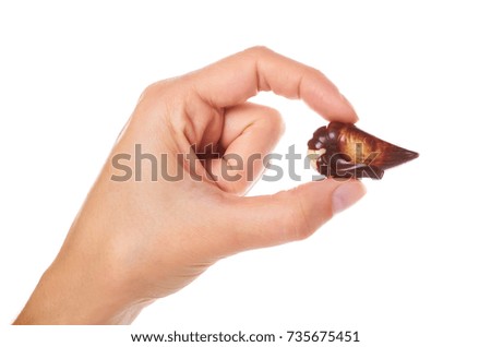 various chocolate pralines isolated on white background