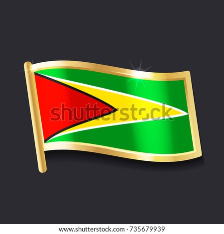 flag of Guyana in the form of badge, flat image