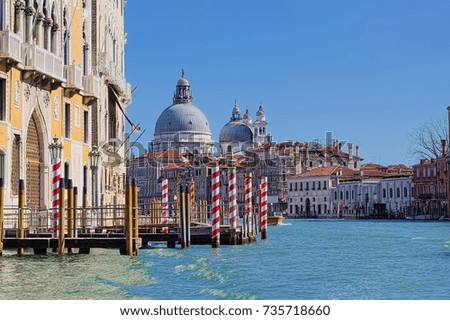 Venice View (Venice)