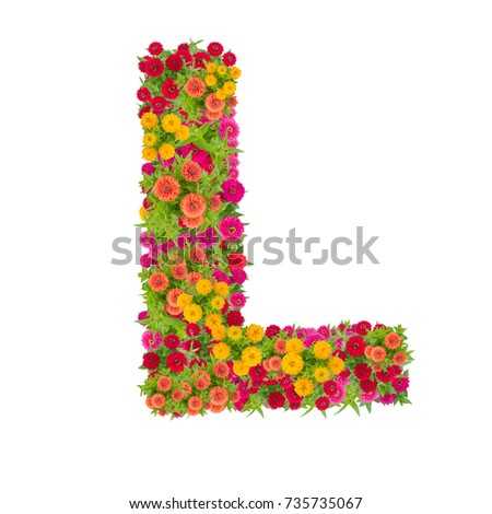 Letter L alphabet made from zinnia flower ABC concept type as logo.Typography design with clipping path Royalty-Free Stock Photo #735735067