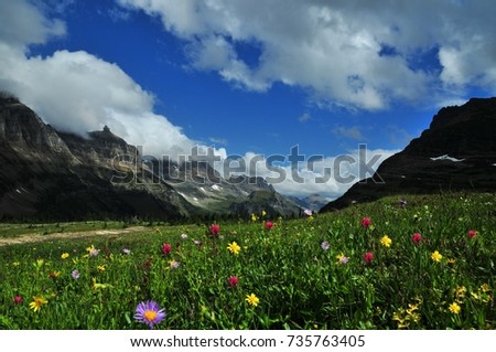 Logan Pass west glacier, Montana, Colorful wildflowers and mountain range. One of the most picturesque locations in the world. The ‘Crown of the Continent’, Logan Pass is it’s a most illustrious jewel