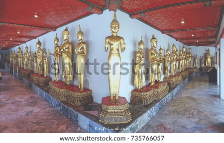 Buddha arranged in a row.