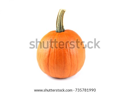 new picked pumpkin isolated on white background