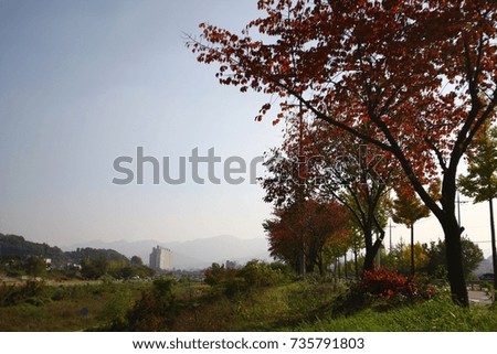 korea park autumn