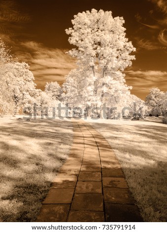 public forest park view in Turaida Sigulda, Latvia with contrasty clouds above. infrared image