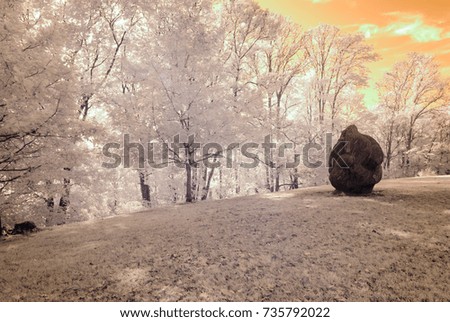 public forest park view in Turaida Sigulda, Latvia with contrasty clouds above and stone sculptures. infrared image