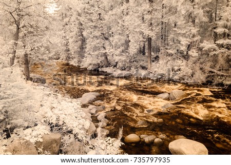 mountain river stream in forest in Slovakia. autumn colors. infrared image