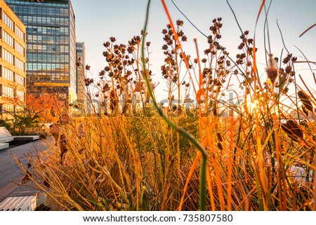 New York City's High Line Park on the west side of Manhattan from 14th St. to 34th St.