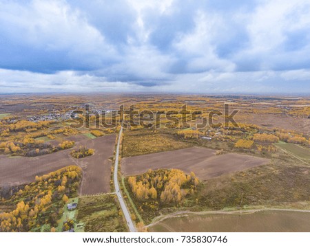 Autumn woods and fields with a bird's eye