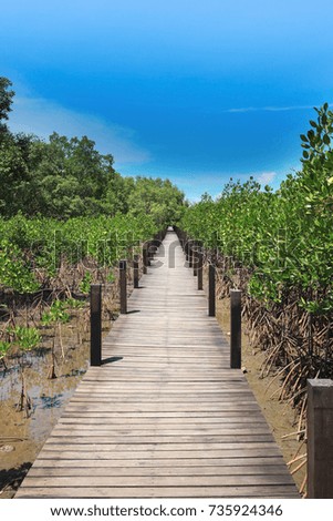 Wooden bridges with planting Mangroves protect sustainable coastlines.