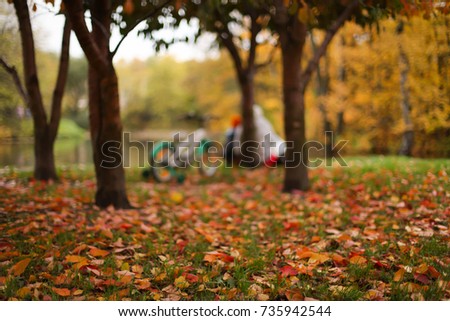 a mother and her child walk, ride a bike and read a book at the lake in the autumn Park