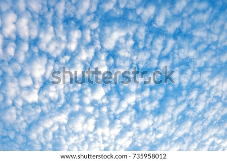 The clouds scattered over the blue sky.