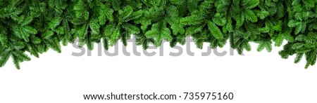 Wide Christmas border arranged with fresh fir branches isolated on white shaped as an arch, banner format